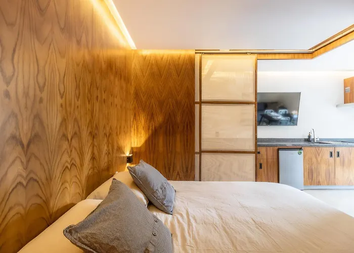 Apartment Zielo Londres ,modern With Ac & Rooftop Terrace